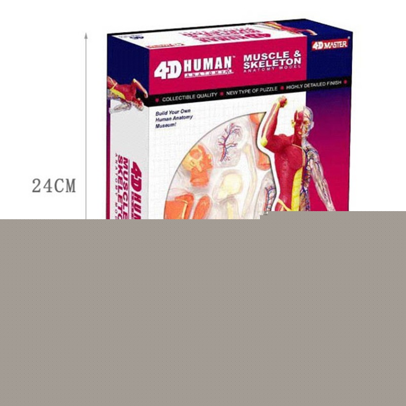 Medical Lab Technology - Anatomy 4d Human Muscle Skeleton Medical