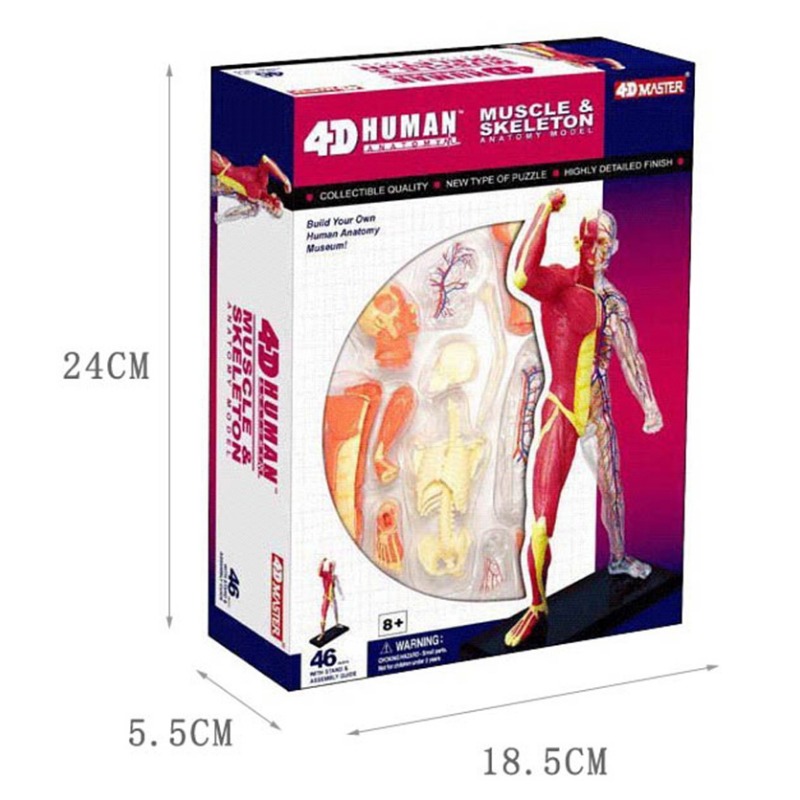 Anatomy 4d Human Muscle Skelet - Medical Lab Technology 评论和价格